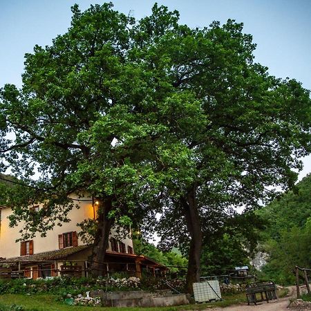 Agriturismo Le Due Querce Cerreto di Spoleto Buitenkant foto