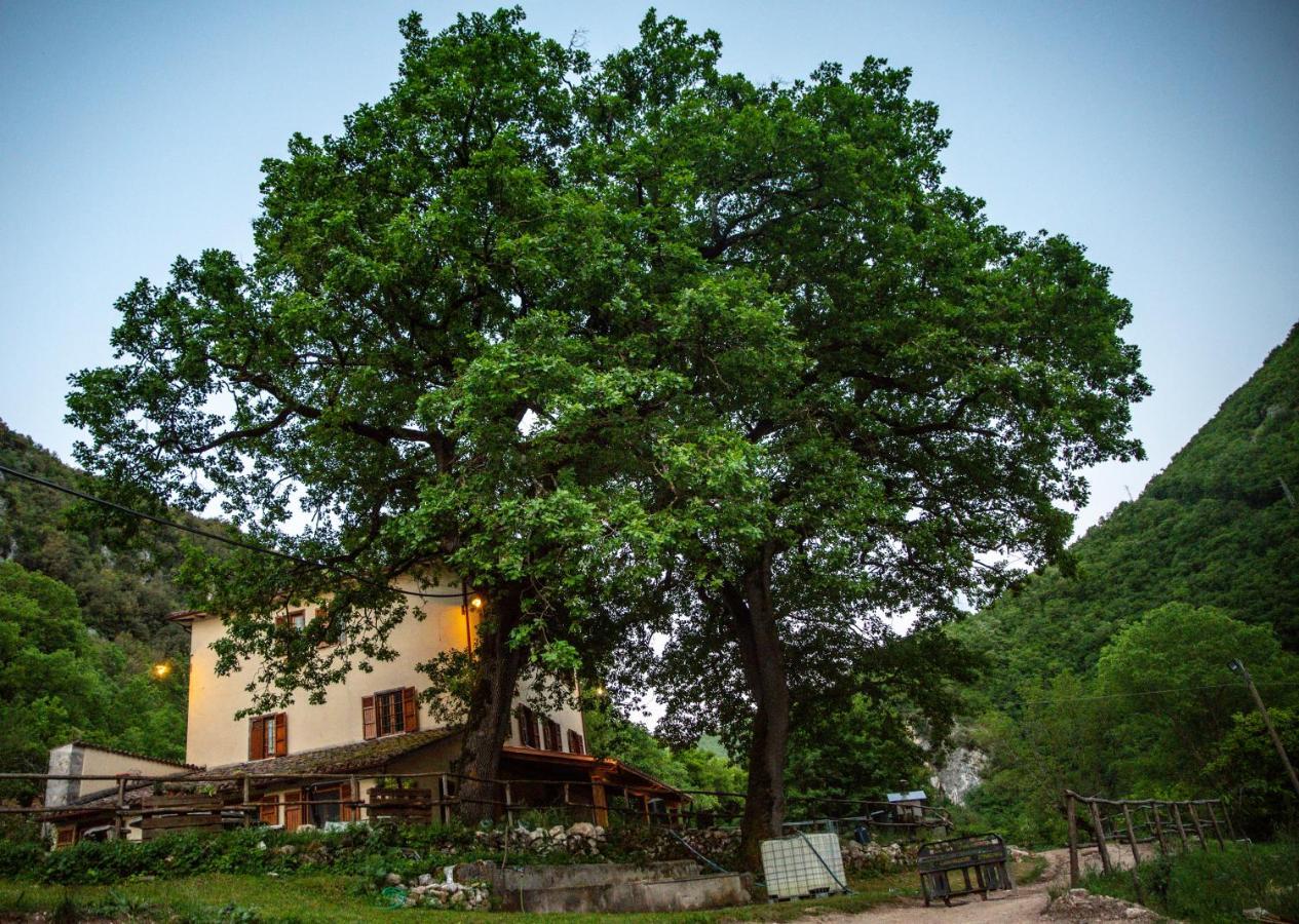 Agriturismo Le Due Querce Cerreto di Spoleto Buitenkant foto
